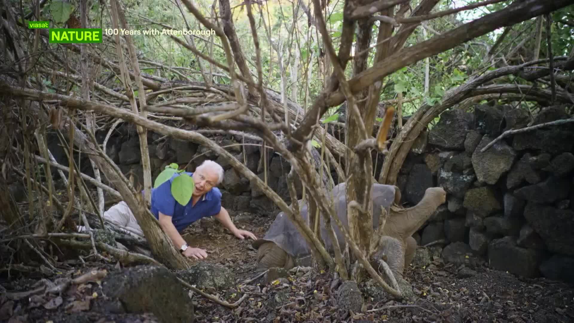 ViasatNature