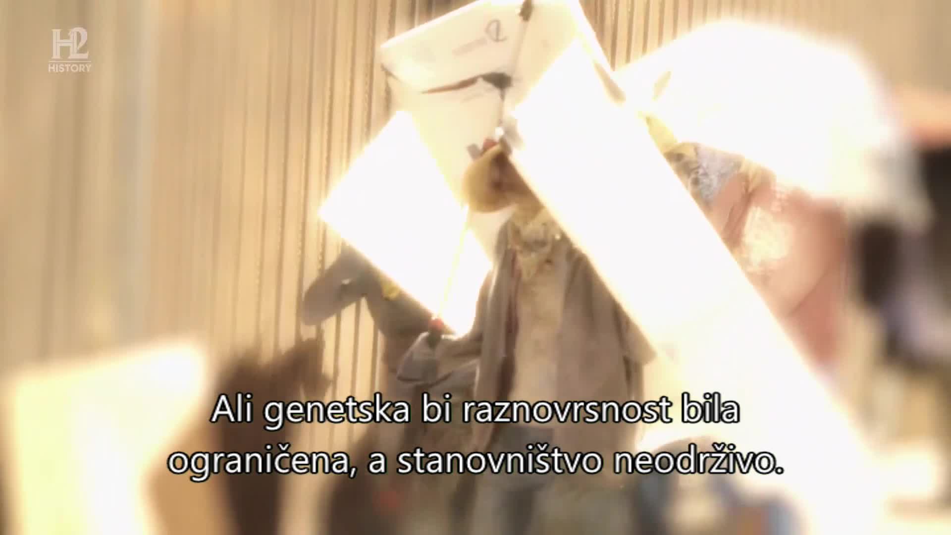 History2
