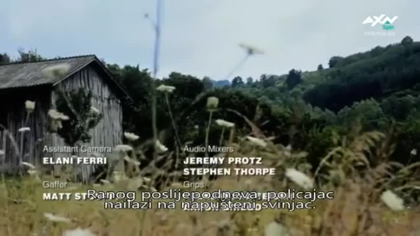 AXNSpin