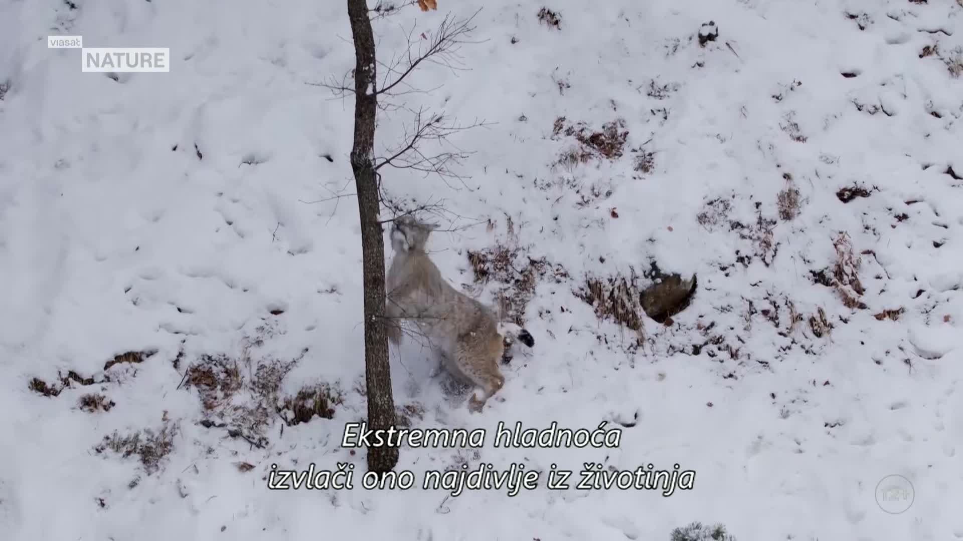 ViasatNature